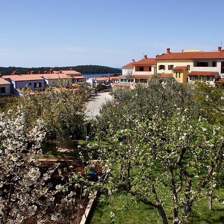 Apartments Cezar Vinkuran Eksteriør bilde