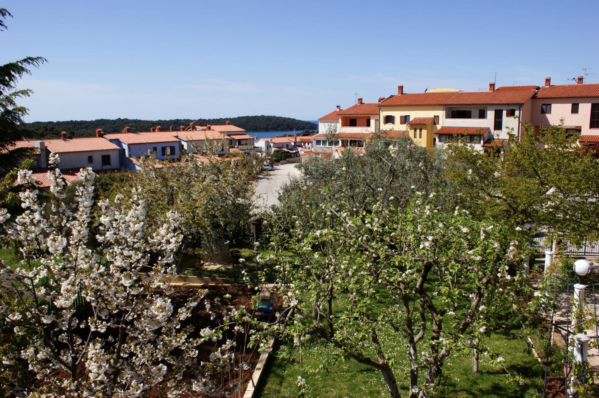 Apartments Cezar Vinkuran Eksteriør bilde